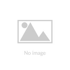 3D Renderer Work in Progress